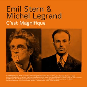 C'est Magnifique - Emil Stern