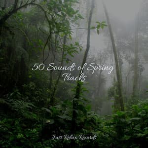 50 Sounds of Spring Tracks - Calming Sounds