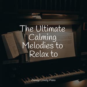 Calm Collection | Tracks for Stress Relief - Piano Mood