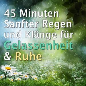 45 Minuten Sanfter Regen und Klänge für Gelassenheit & Ruhe - Max Relax