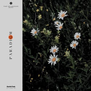 Paradigm - Pure Spa Massage Music