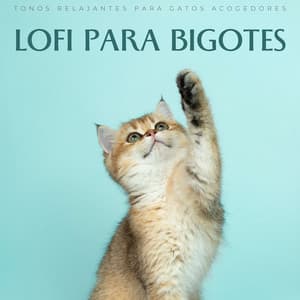 Lofi Para Bigotes: Tonos Relajantes Para Gatos Acogedores - Relájate Hip Hop