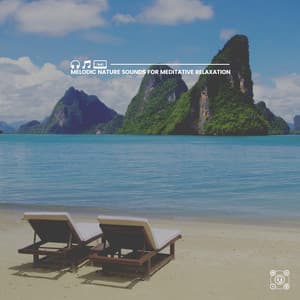 Melodic Nature Sounds for Meditative Relaxation - Swedish Forest Birds