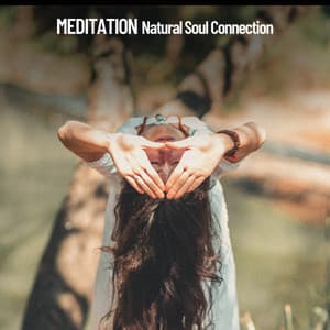 Meditation Sounds: Natural Connections - Amazing Spa Music