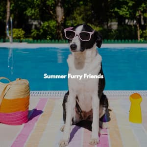 Summer Furry Friends - Radio de Jazz Suave