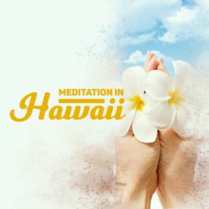 Meditation in Hawaii: Ukulele Positive Vibes, Summer Time, Waves Sounds, Good Feeling - Ukulele Relaxation Academy