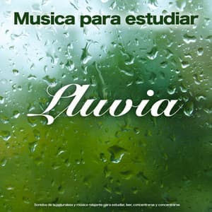 Musica para estudiar: Lluvia - Sonidos de la naturaleza y música relajante para estudiar, leer, concentrarse y concentrarse - Musica para Concentrarse
