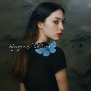 Resonant Shrine - Jani Pay