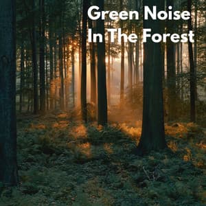 Green Noise in the Forest - Rain Sounds
