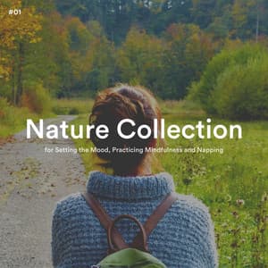 #01 Nature Collection for Setting the Mood, Practicing Mindfulness and Napping - The Nature Soundscapes