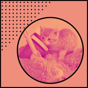 Music for Afternoon and Cats - Musica para Gatos