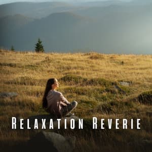 Relaxation Reverie: Lofi Harmonies for Tranquility - Sleepy Lofi Beats