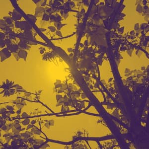 Feelings for Mythical Energies - Reading Jazz Lounge Background Music