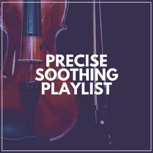 Precise Soothing Playlist - Classical Chillout