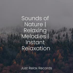 Sounds of Nature | Relaxing Melodies | Instant Relaxation - Children's Music