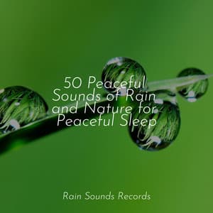 50 Peaceful Sounds of Rain and Nature for Peaceful Sleep - Natureza