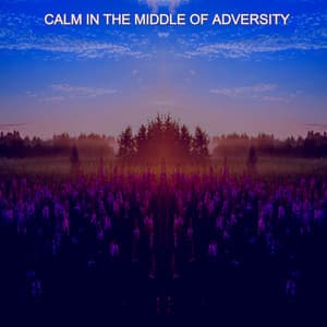 Calm in the Middle of Adversity - Lo Fi Hip Hop