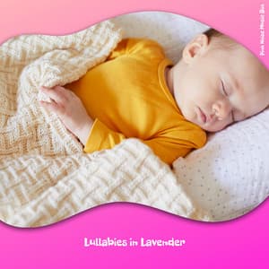 Lullabies in Lavender: Music Box Dreams - Pink Noise Music Box