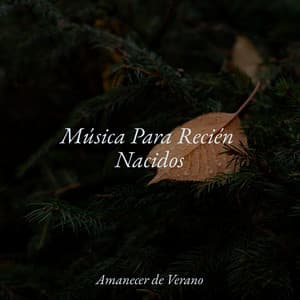 Música Para Recién Nacidos - Musica para Bebes