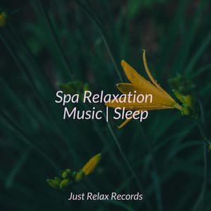 Spa Relaxation Music | Sleep - ASMR HD