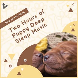 2 Hours of Puppy Deep Sleep Music - Dog Music Hour