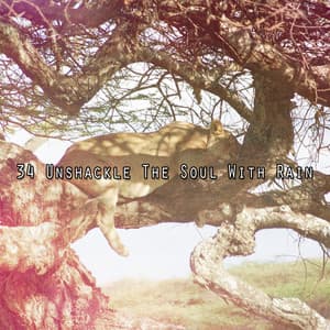 34 Unshackle The Soul With Rain - Rain