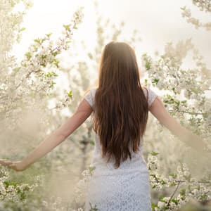 Ethereal Tunes Amidst Nature's Embrace - Haylox