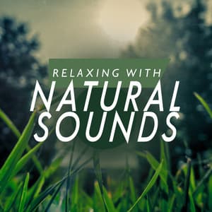 Relaxing with Natural Sounds - Nature Sounds Relaxing