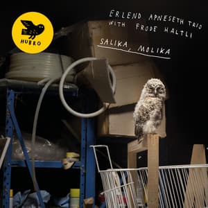 Salika, Molika - Erlend Apneseth Trio
