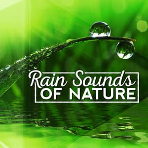 Rain Sounds of Nature - Sounds Of Nature : Thunderstorm, Rain