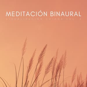 Meditación Binaural: Visualización Guiada Vol. 2 - Latidos binaurales Soledad