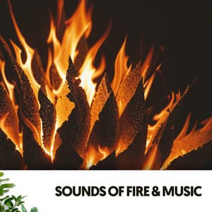 Sounds of Fire & Music: Flames and Melodies Collide - Música Relajante Para Leer