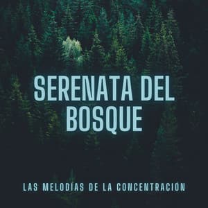 Serenata del Bosque: Las Melodías de la Concentración - Ambiente de selva tropical