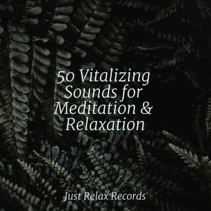 50 Vitalizing Sounds for Meditation & Relaxation - Thunderstorm Sound Bank
