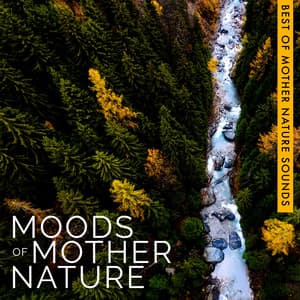Moods of Mother Nature - Best of Mother Nature Sounds