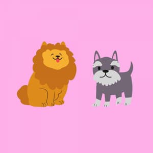 Marvellous Jazz Organ - Bgm for Winter Dog Strolls - Puppy Sleeping Sounds