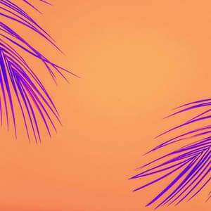 Backdrop for Fresh Days - Elevator Music Deluxe