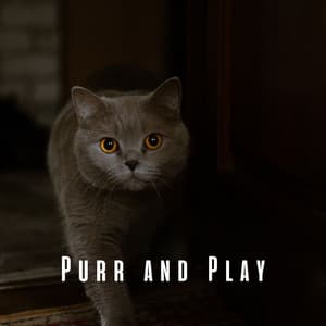 Purr and Play: Upbeat Piano for Playful Cats - Piano Music