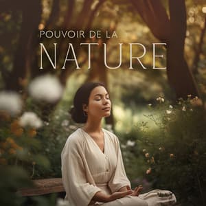 Pouvoir de la nature: Séance de méditation calme avec les sons de la nature - Musique Douce Academy