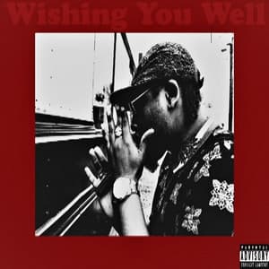 Wishing You Well - Tony Del Freshco