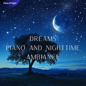 Dreams: Piano and Nighttime Ambiance - Piano & Night