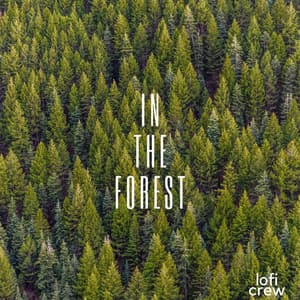 In The Forest - Calm Lofi Beats