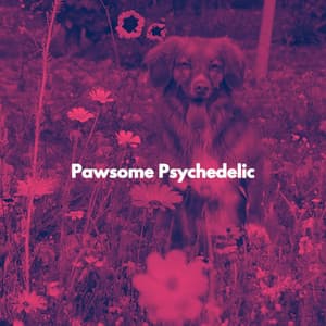 Pawsome Psychedelic - Musica para Dormir Momentos