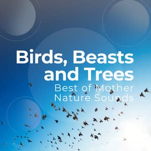 Birds, Beasts and Trees - Best of Mother Nature Sounds