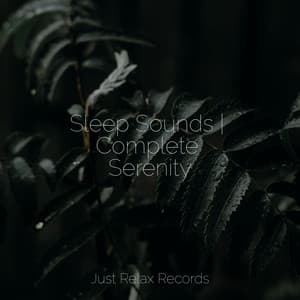 Sleep Sounds | Complete Serenity - Dog Music