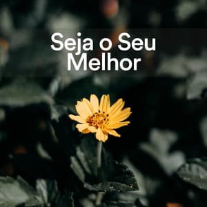 Seja o Seu Melhor - Música Calmante