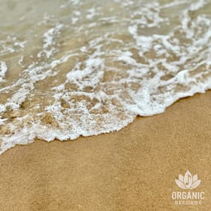 Tide Whisper - Ocean Makers