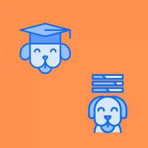 Backdrop for Doggy Discoveries - Dog Music Therapy