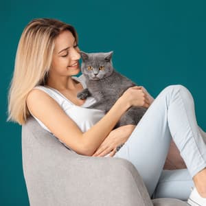 Piano Cat Retreat: A Cuddly Rain of Comfort - Piano for cats