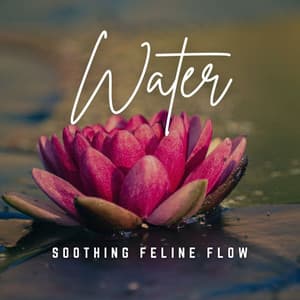 Music to Soothe Your Kitty: Tranquil Water Melodies - Water Meditations